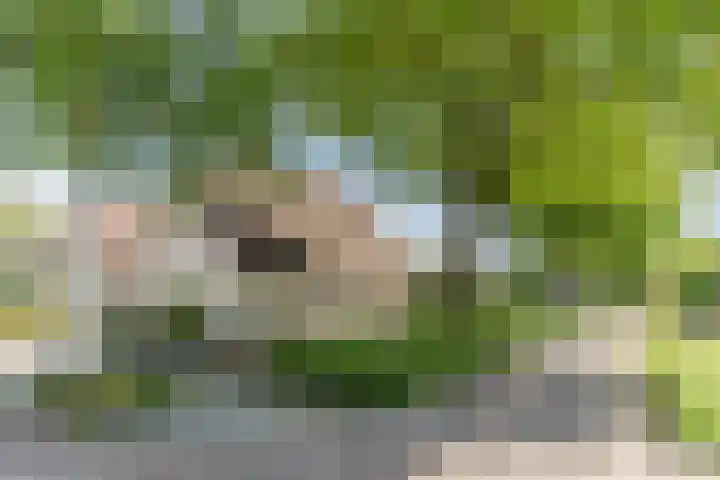 Raakheuvel 3 Best thumbnail 51