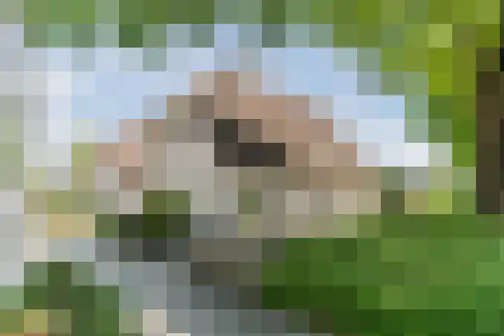Raakheuvel 3 Best thumbnail 52