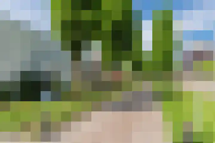Raakheuvel 3 Best thumbnail 53