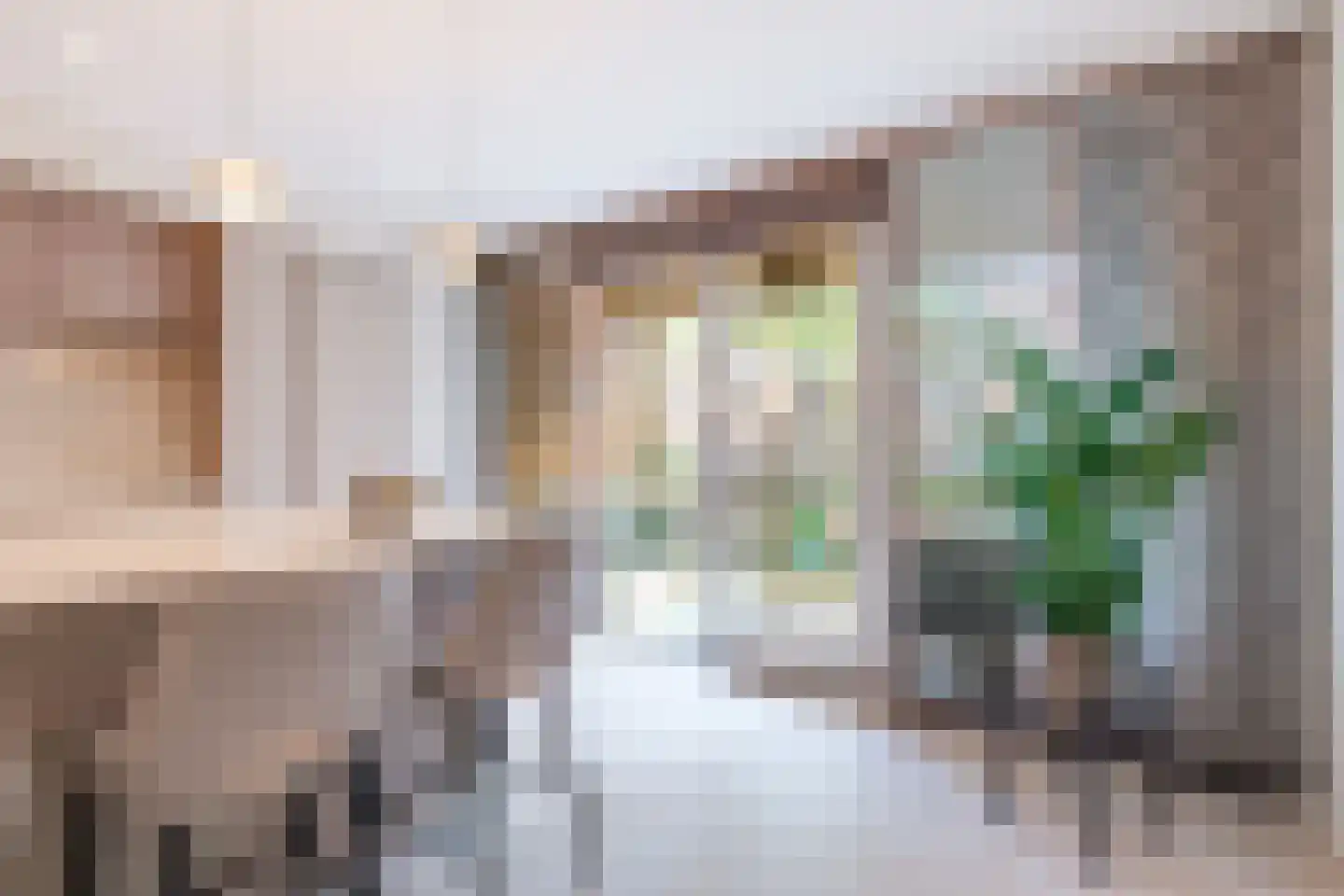 Raaksje 21 Alkmaar thumbnail 11
