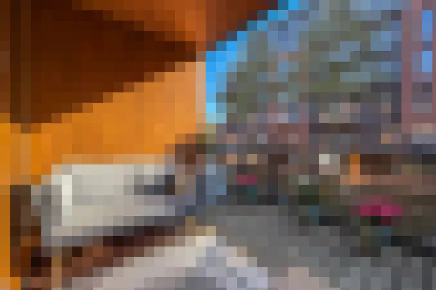 Raaksje 21 Alkmaar thumbnail 13