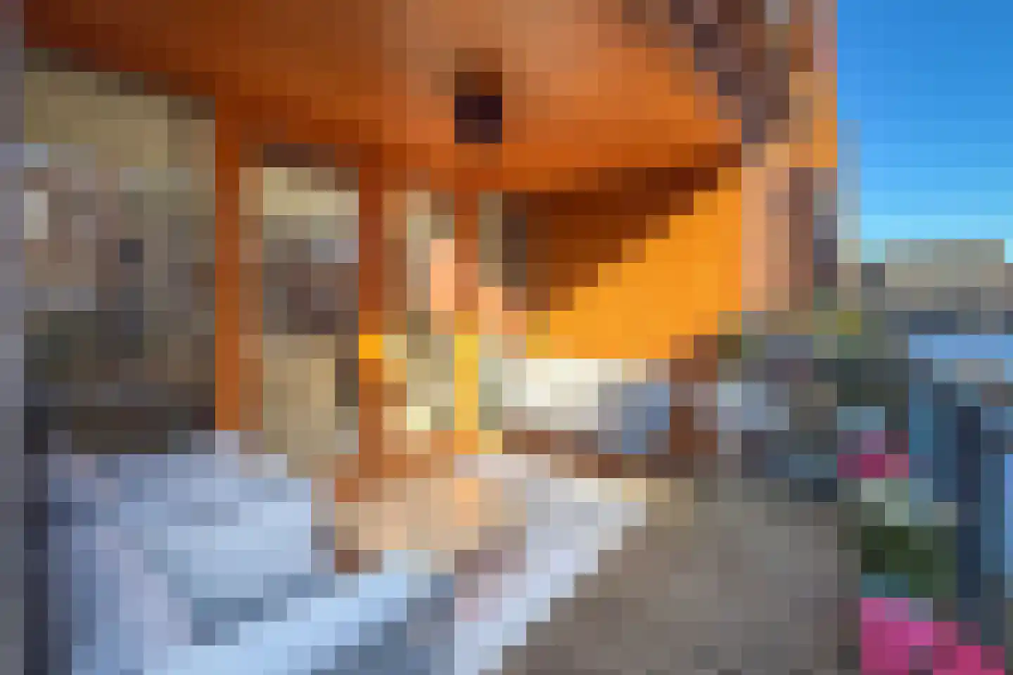 Raaksje 21 Alkmaar thumbnail 15