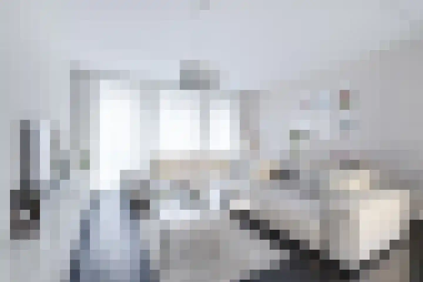 Raaksje 21 Alkmaar thumbnail 19