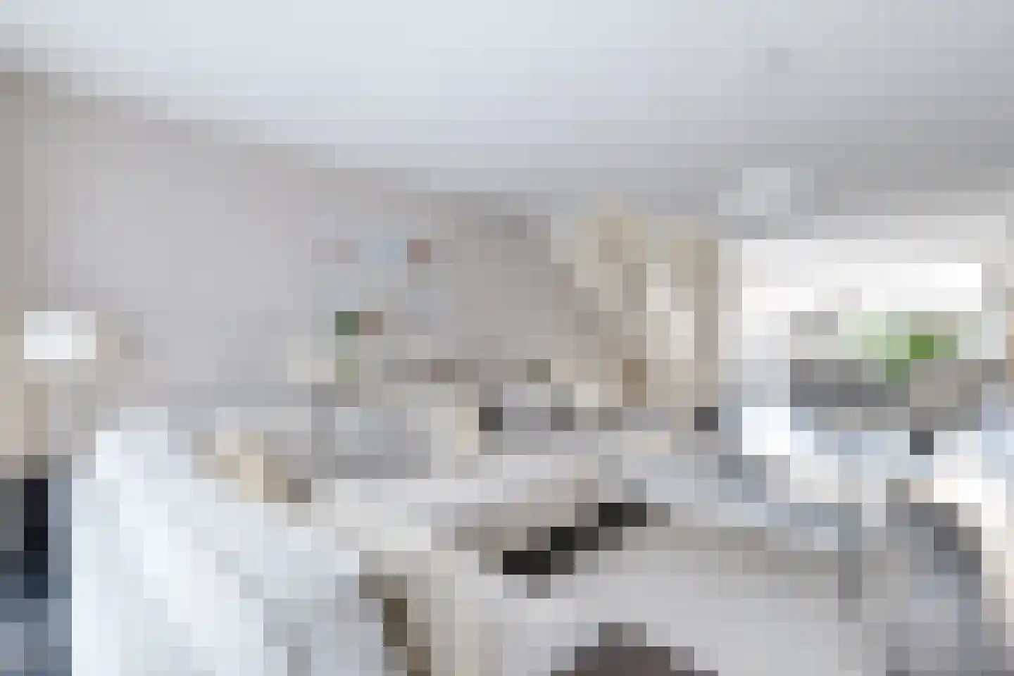 Raaksje 21 Alkmaar thumbnail 20