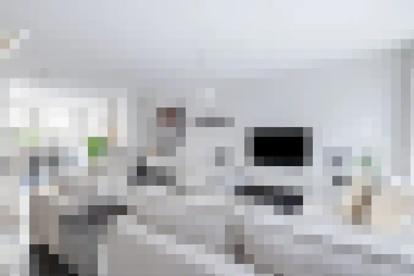 Raaksje 21 Alkmaar thumbnail 21