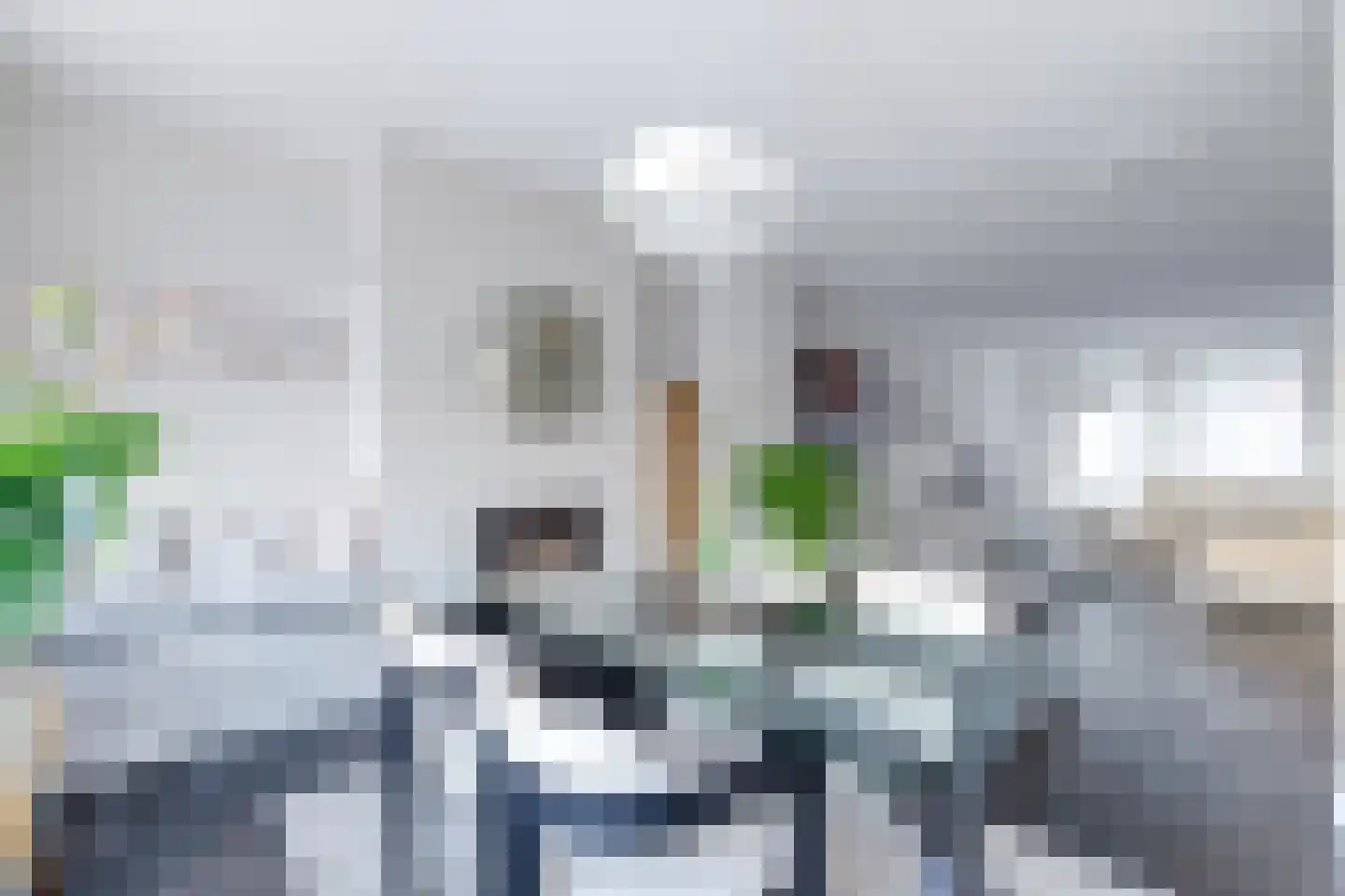 Raaksje 21 Alkmaar thumbnail 24
