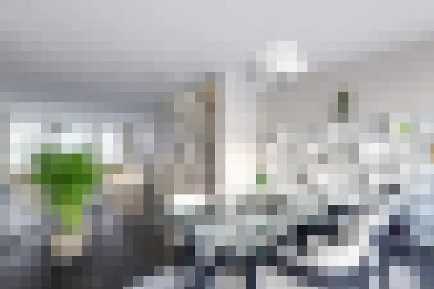 Raaksje 21 Alkmaar thumbnail 25