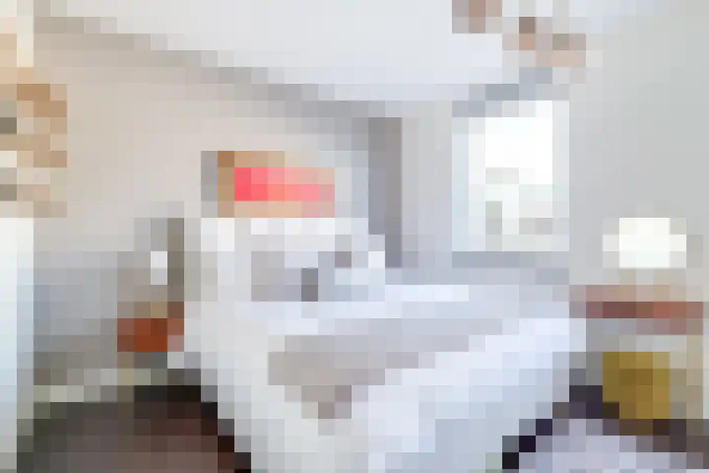 Raaksje 21 Alkmaar thumbnail 27