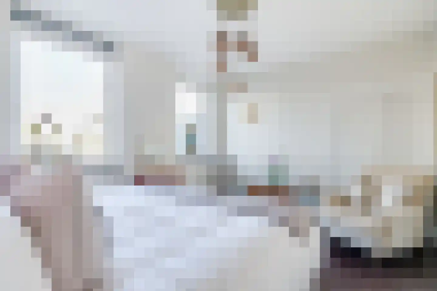 Raaksje 21 Alkmaar thumbnail 28