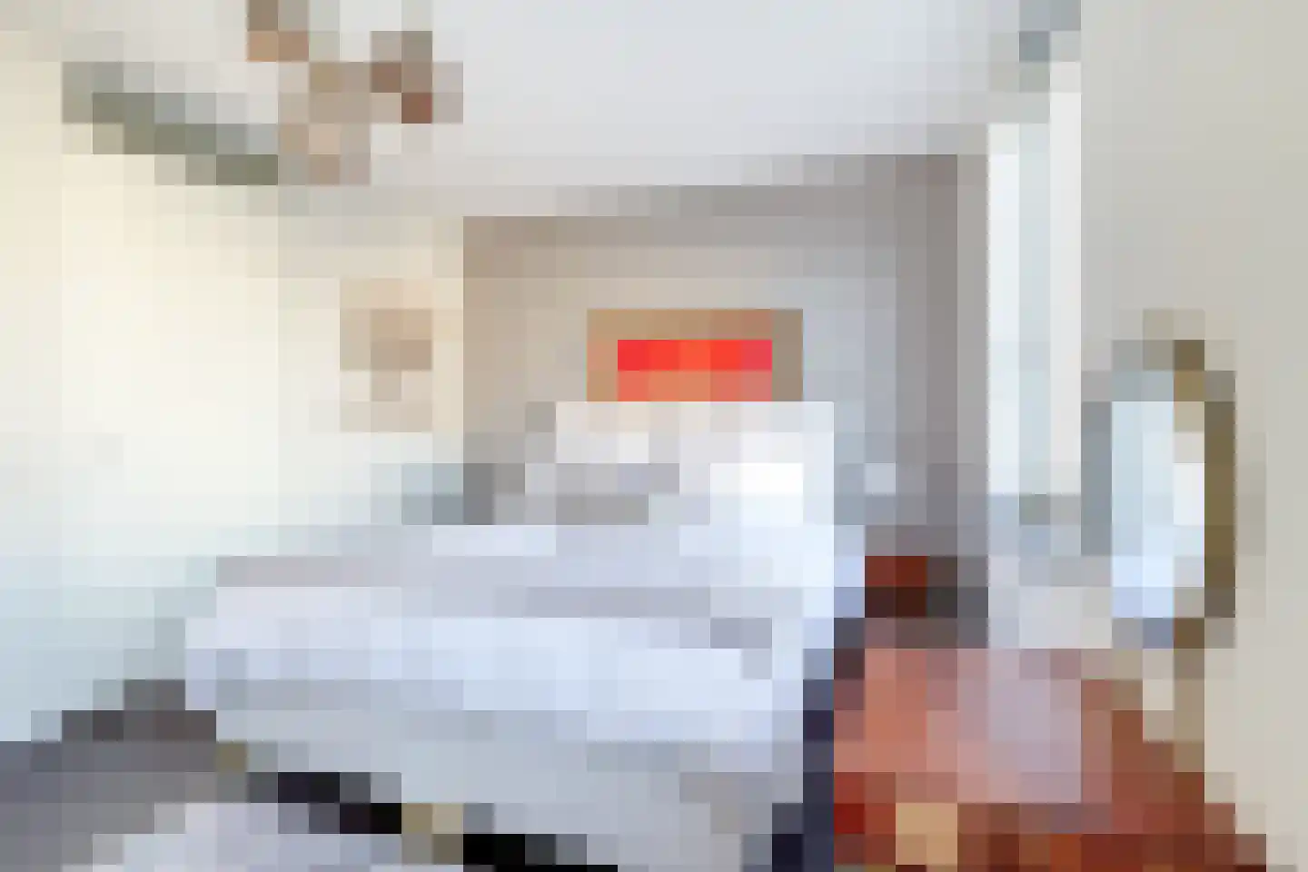 Raaksje 21 Alkmaar thumbnail 29