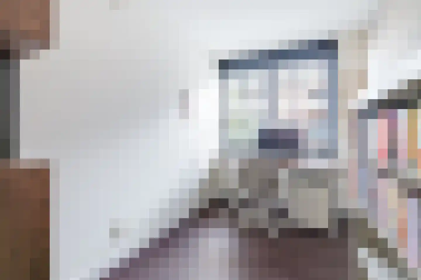 Raaksje 21 Alkmaar thumbnail 31