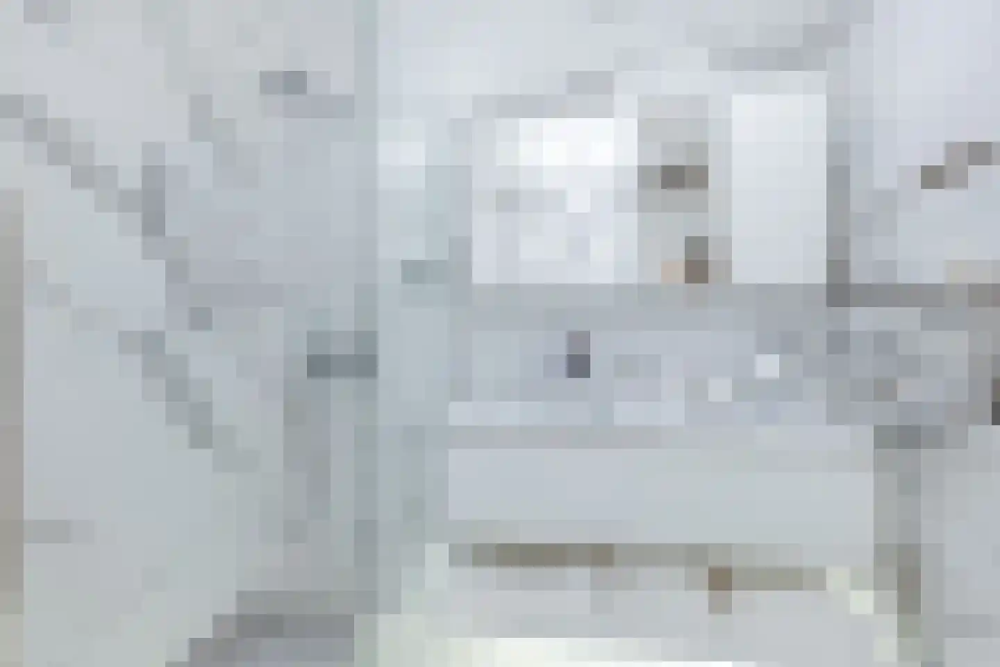 Raaksje 21 Alkmaar thumbnail 34
