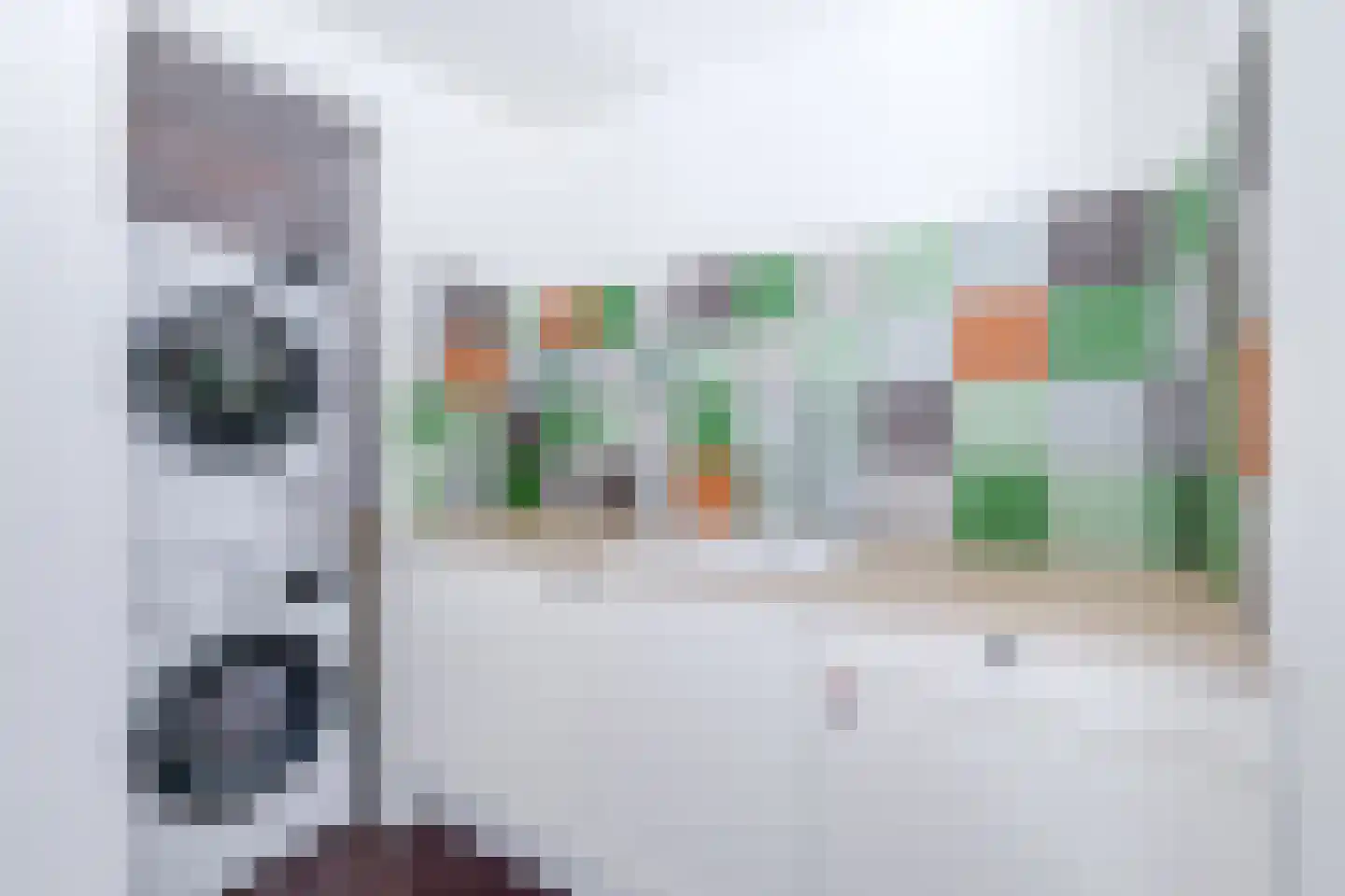 Raaksje 21 Alkmaar thumbnail 43
