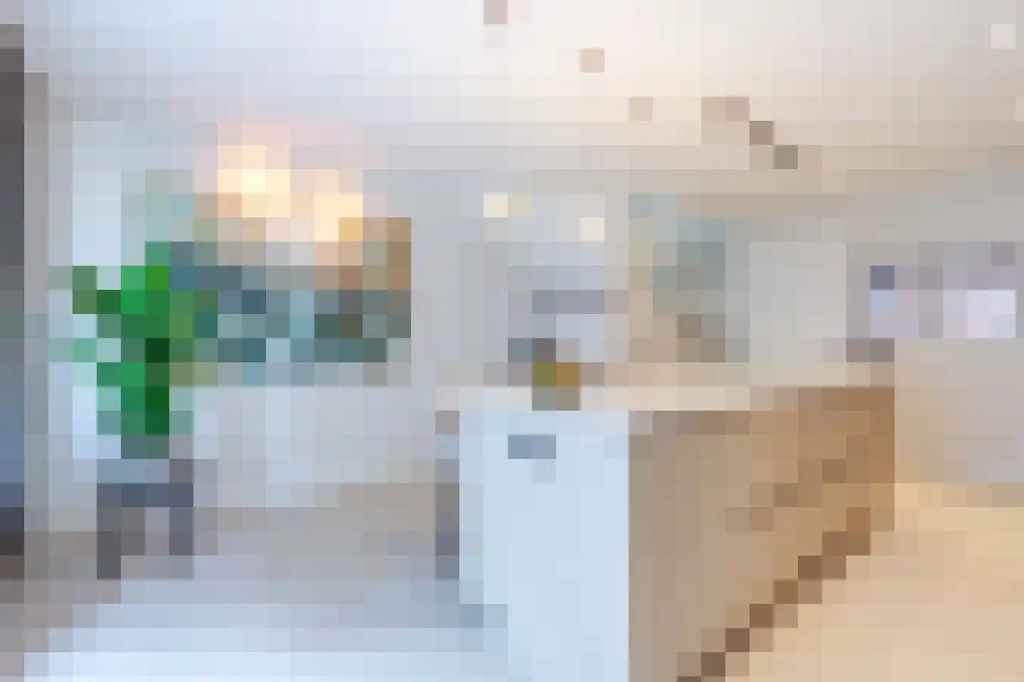 Raaksje 21 Alkmaar thumbnail 9