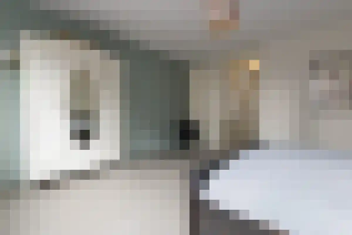 Raaksje 23 Alkmaar thumbnail 16