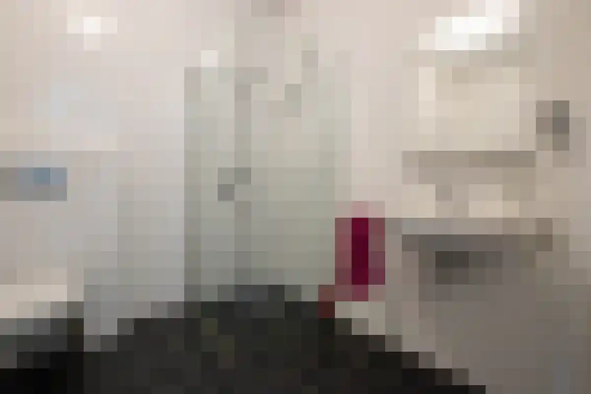 Raaksje 23 Alkmaar thumbnail 19