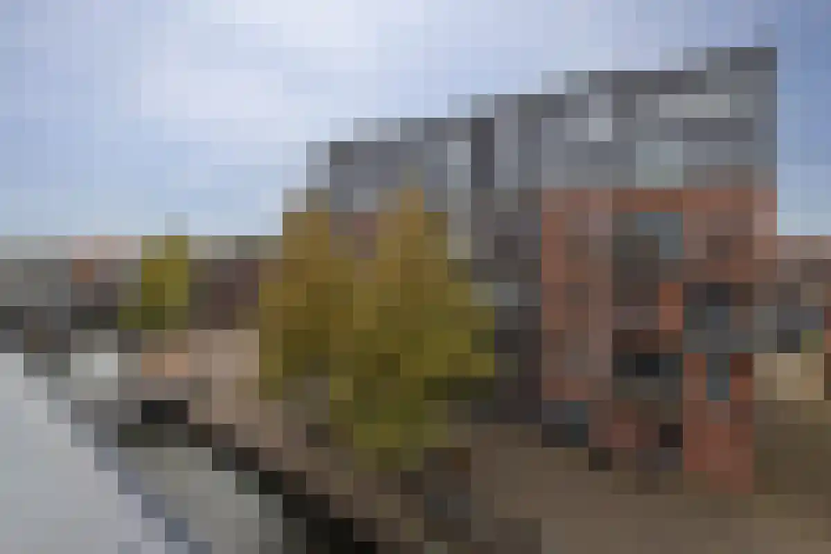 Raaksje 23 Alkmaar thumbnail 27