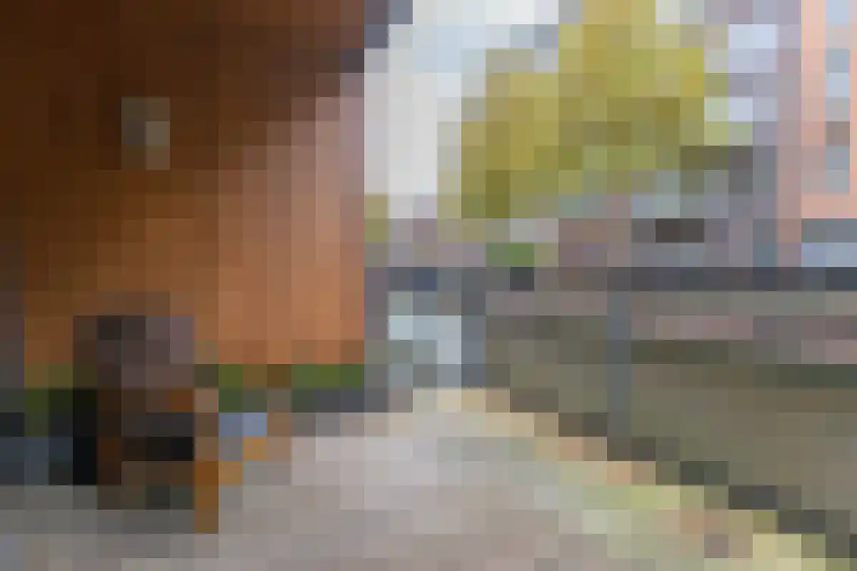 Raaksje 23 Alkmaar thumbnail 31