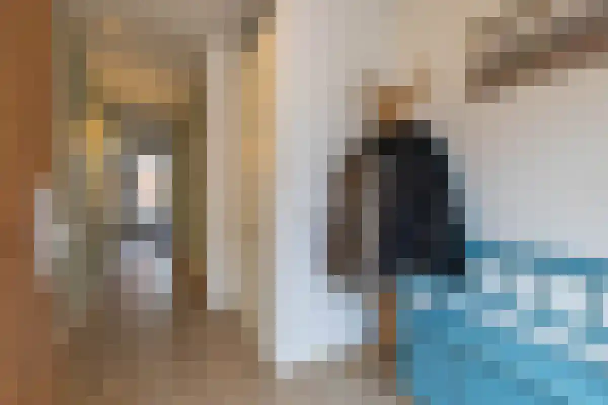Raaksje 23 Alkmaar thumbnail 37