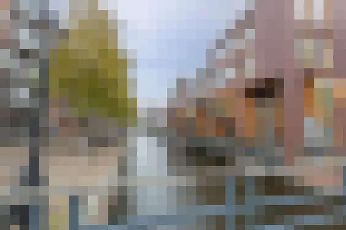 Raaksje 23 Alkmaar thumbnail 42