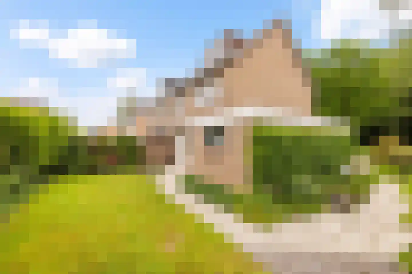 Raalterslag 14 Wijhe thumbnail 23