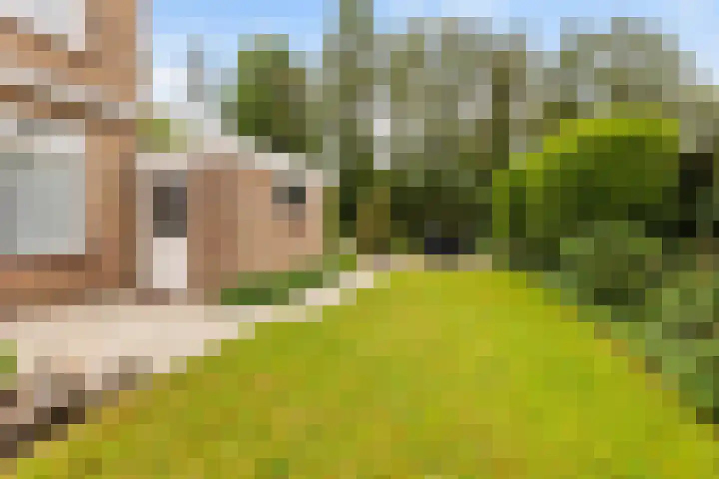 Raalterslag 14 Wijhe thumbnail 25