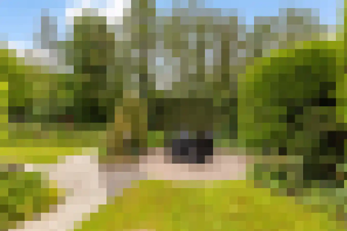 Raalterslag 14 Wijhe thumbnail 26