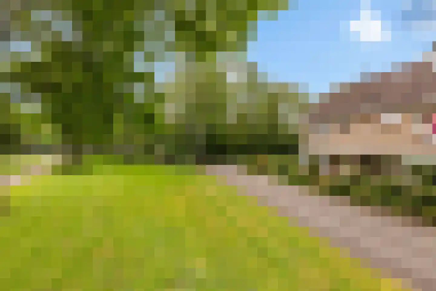 Raalterslag 14 Wijhe foto 3