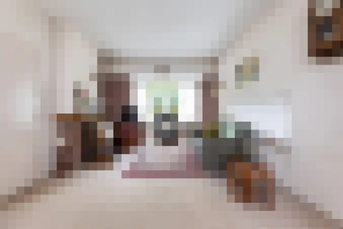 Raalterslag 14 Wijhe thumbnail 4