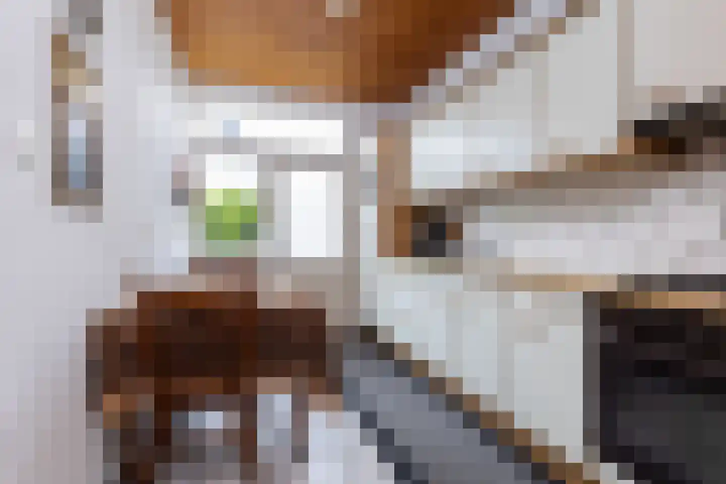 Raalterslag 14 Wijhe thumbnail 8