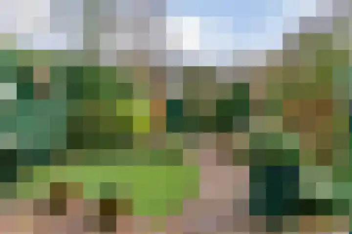 Raalterveste 21 Nieuwegein thumbnail 12