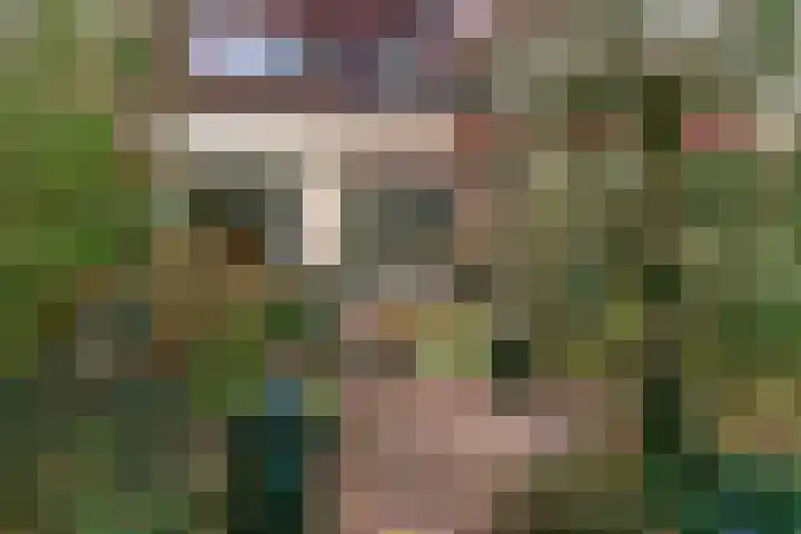 Raalterveste 21 Nieuwegein thumbnail 14
