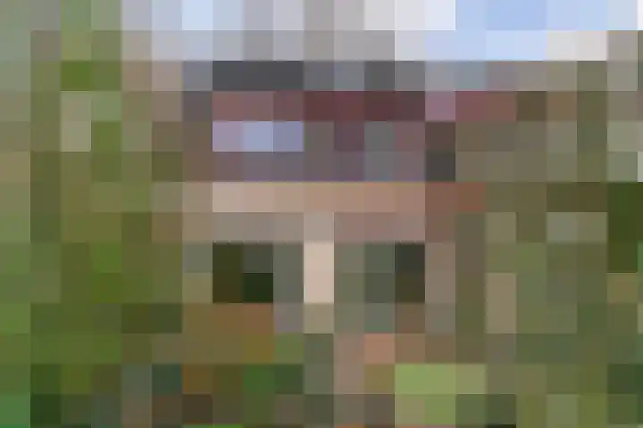 Raalterveste 21 Nieuwegein thumbnail 15