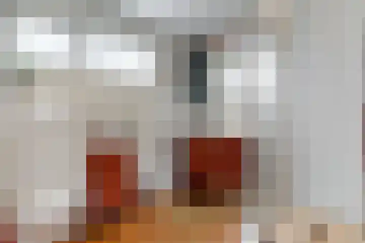 Raalterveste 21 Nieuwegein thumbnail 22