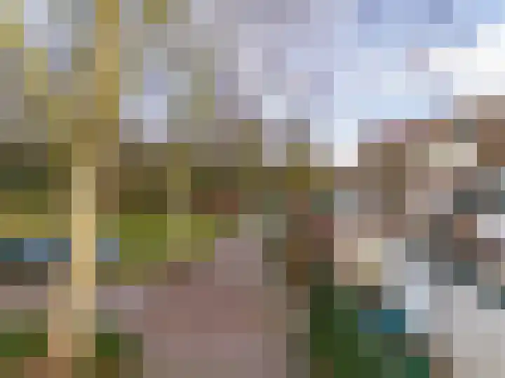Raalterveste 21 Nieuwegein thumbnail 32