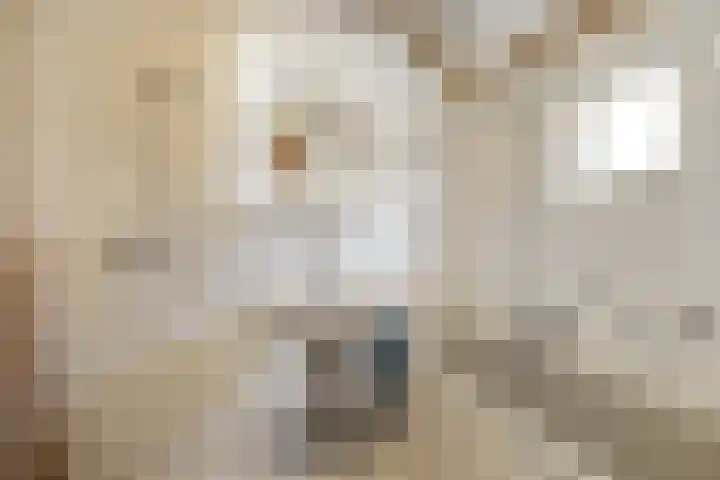 Raalterweg 12 Wesepe thumbnail 11