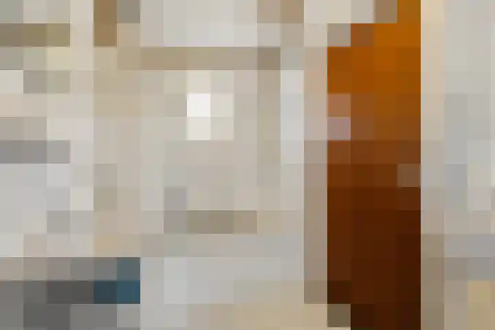 Raalterweg 12 Wesepe thumbnail 12