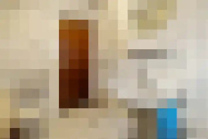 Raalterweg 12 Wesepe thumbnail 13