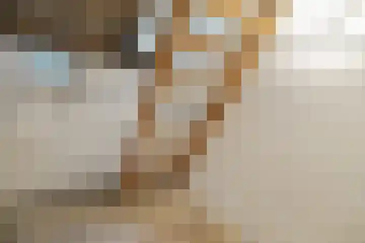 Raalterweg 12 Wesepe thumbnail 16