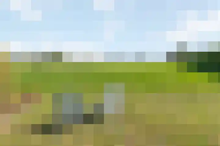 Raalterweg 12 Wesepe thumbnail 23