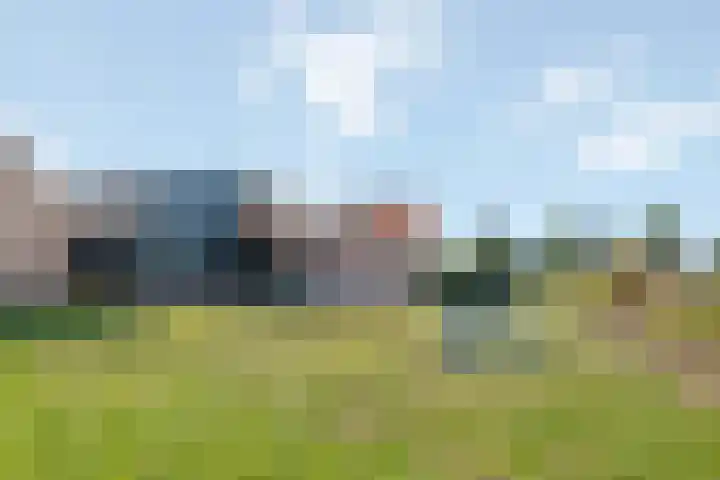 Raalterweg 12 Wesepe thumbnail 24