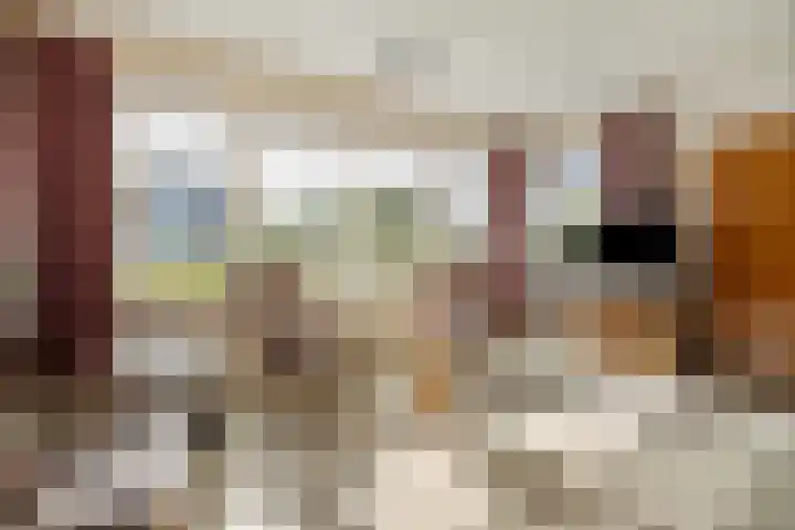 Raalterweg 12 Wesepe thumbnail 6