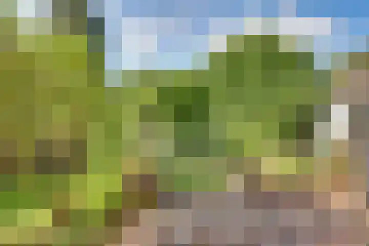 Raalterweg 18 Holten thumbnail 32