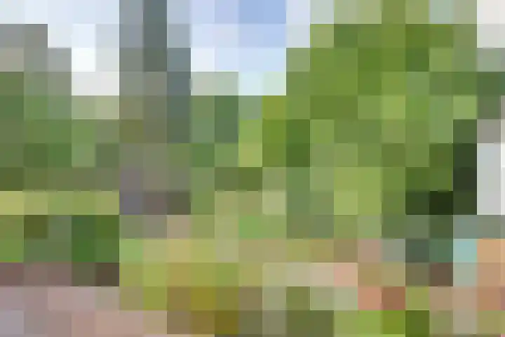 Raalterweg 18 Holten thumbnail 33