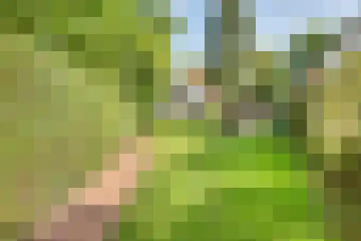 Raalterweg 18 Holten thumbnail 35