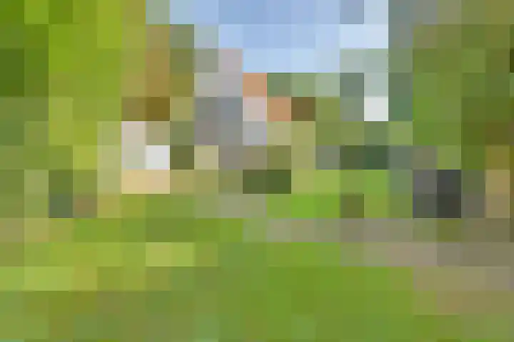 Raalterweg 18 Holten thumbnail 36