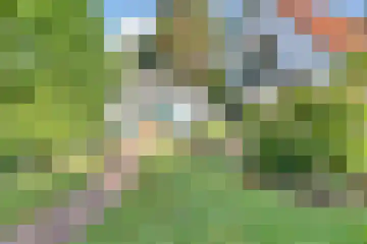 Raalterweg 18 Holten thumbnail 37