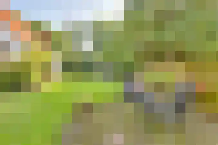 Raalterweg 18 Holten thumbnail 38