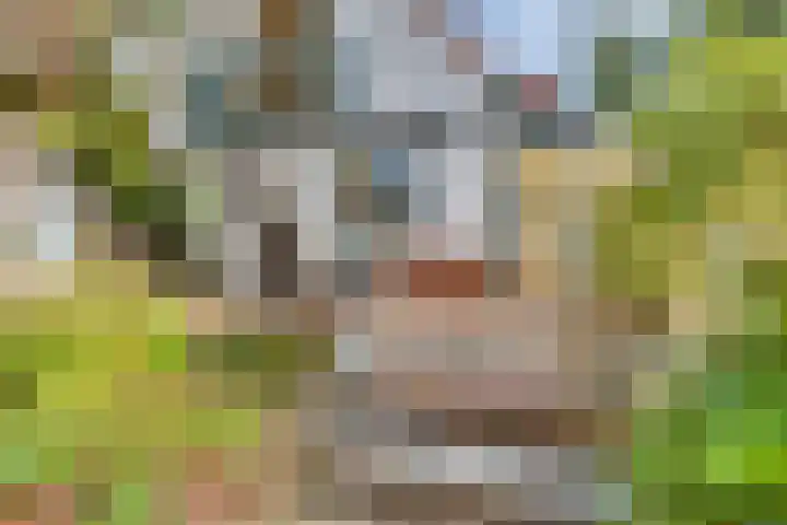 Raalterweg 18 Holten thumbnail 39