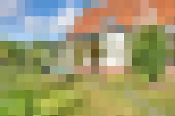 Raalterweg 18 Holten thumbnail 41